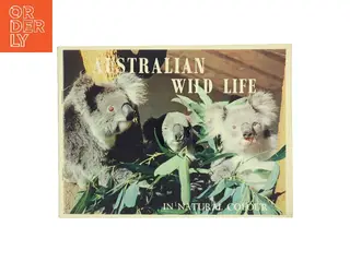 Australian Wild Life In Natural Colour (Bog)