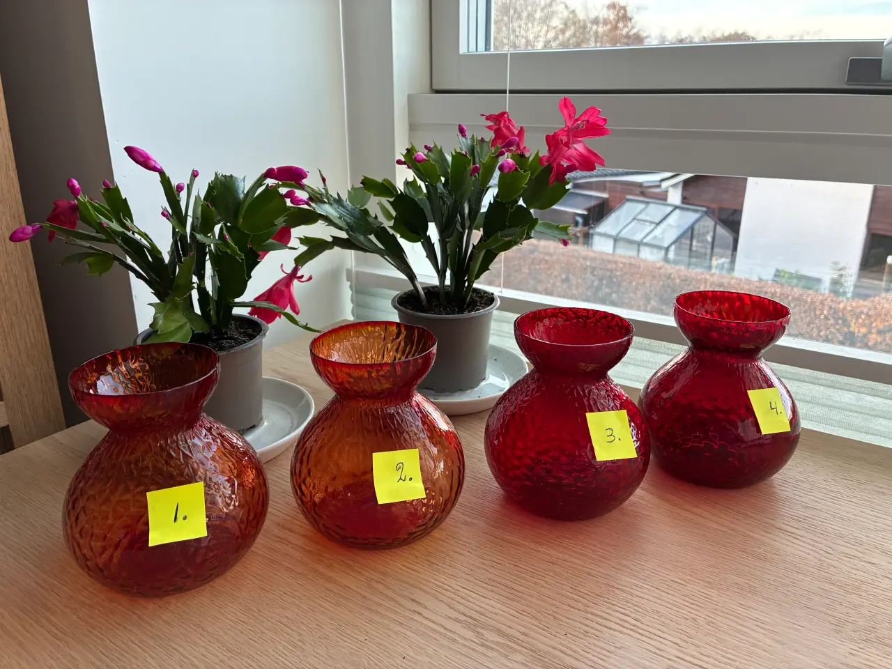 Billede 2 - Hyacintglas fra Holmegaard - RØDE