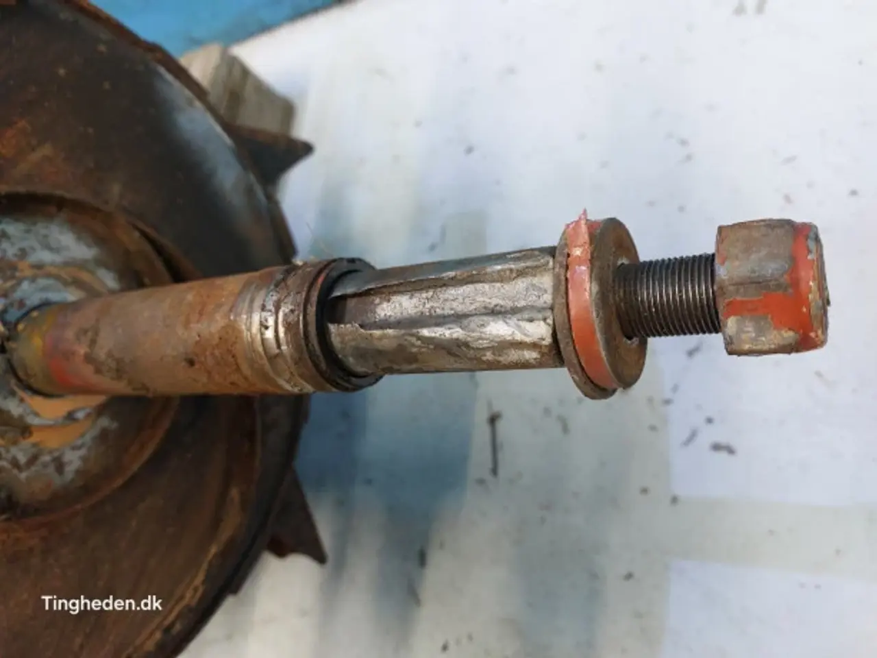 Billede 16 - Laverda 627 Tærskecylinder 321808650