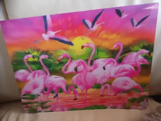 FLOT BILLEDE AF FLAMINGOER