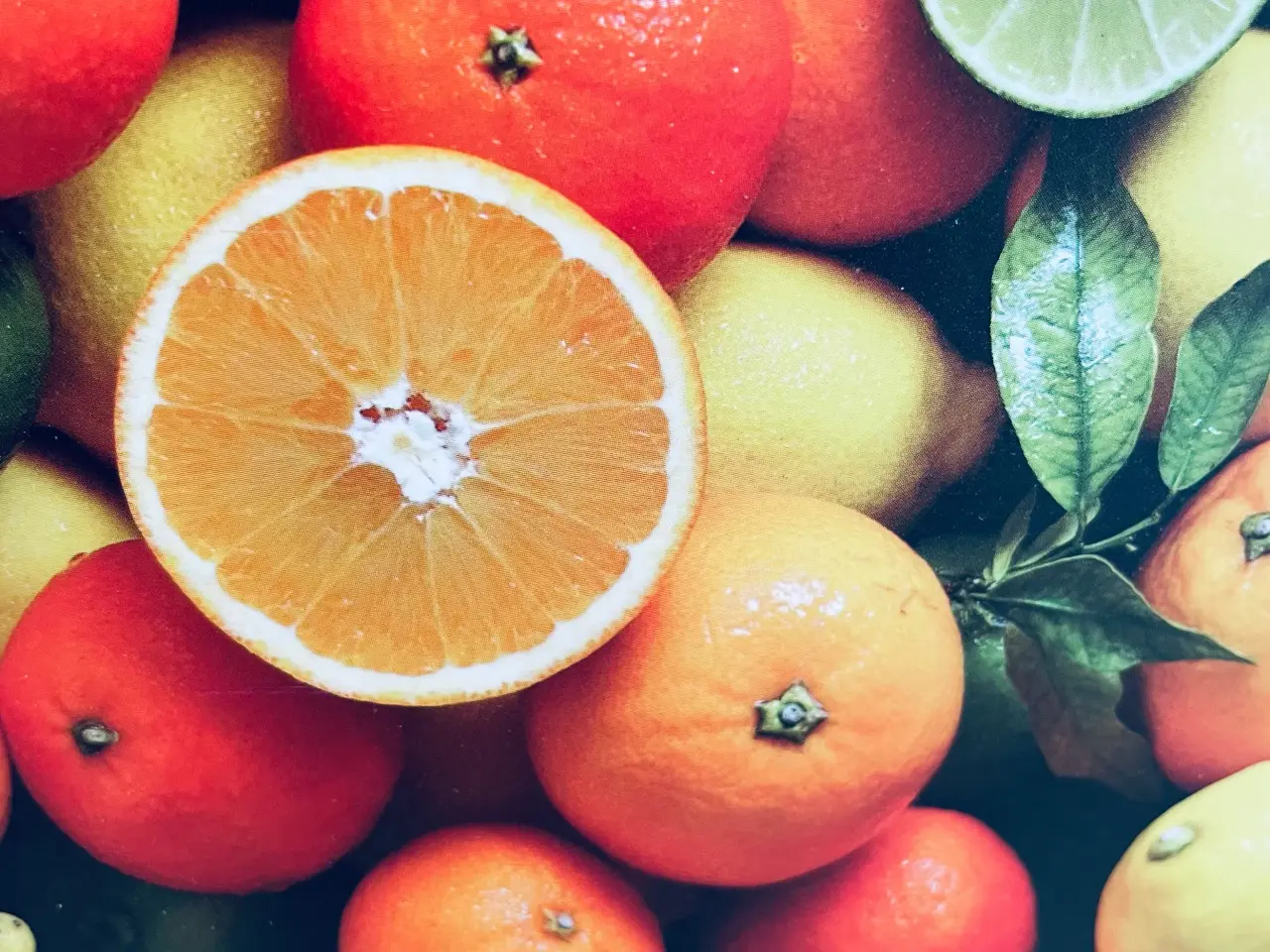 Billede 3 - Citruspresser NY