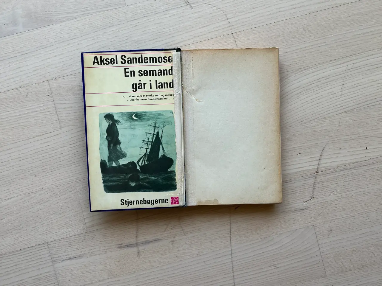 Billede 1 - En sømand går i land