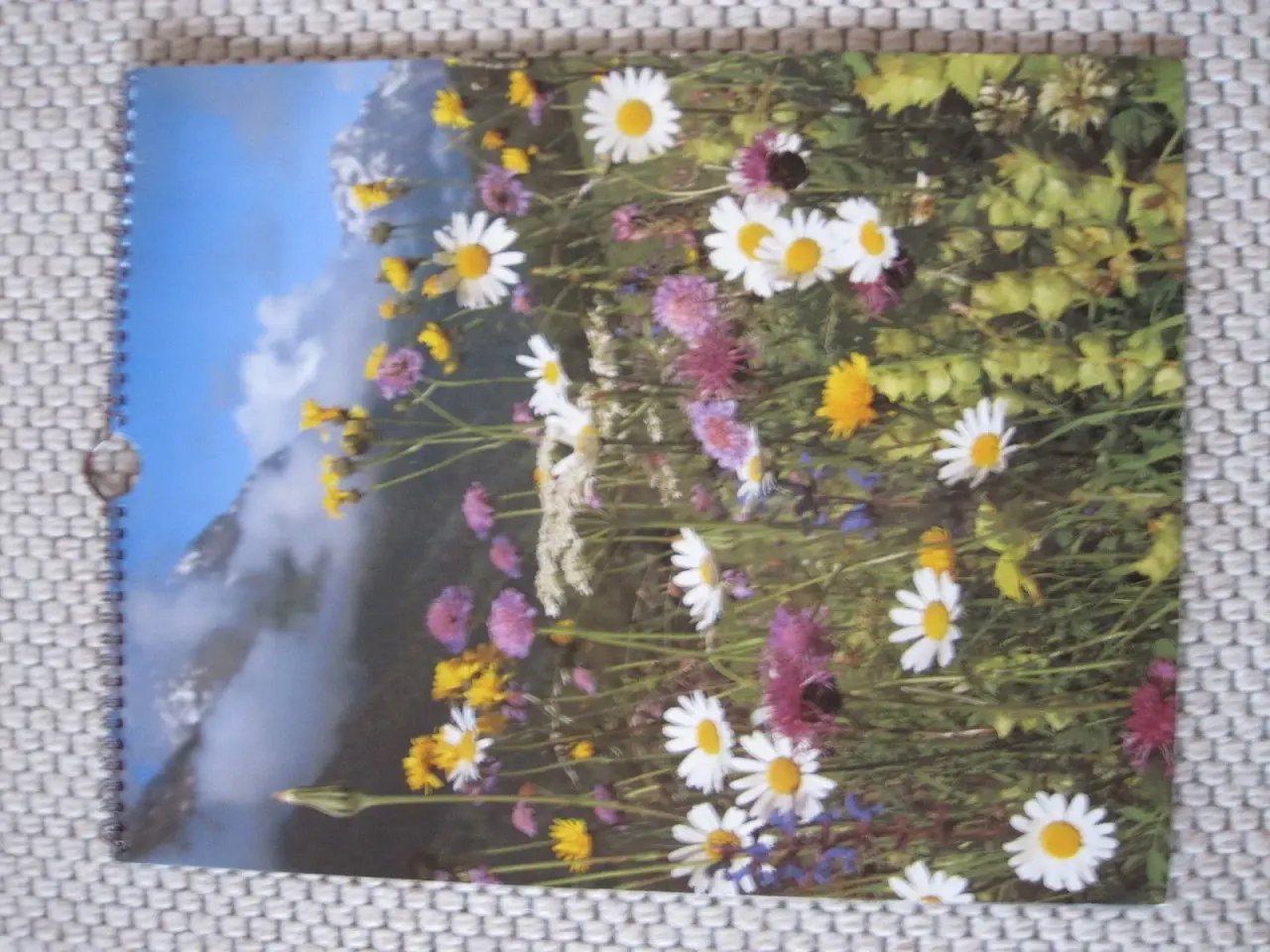 Billede 1 - Gammel kalender