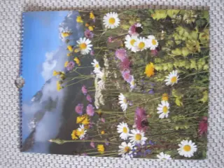 Gammel kalender