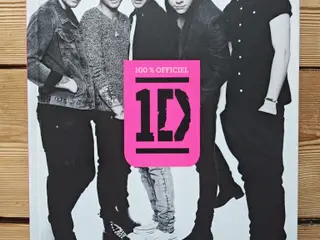 One Direction Where we are BOG