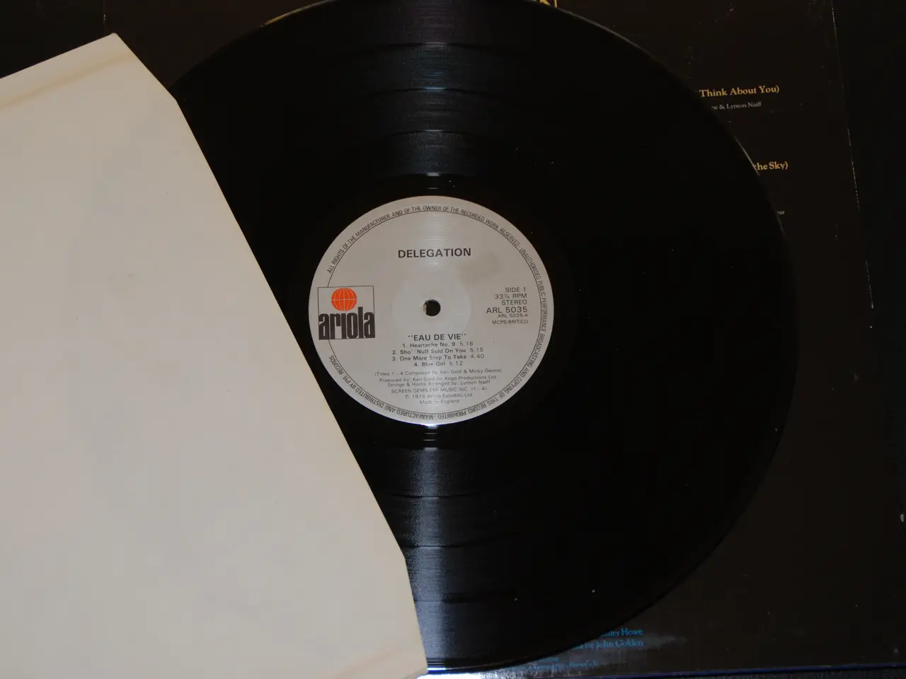 Billede 3 - Vinylplade - Delegation