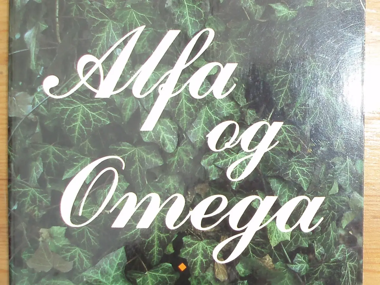 Billede 1 - Sundhedens Alfa og Omega