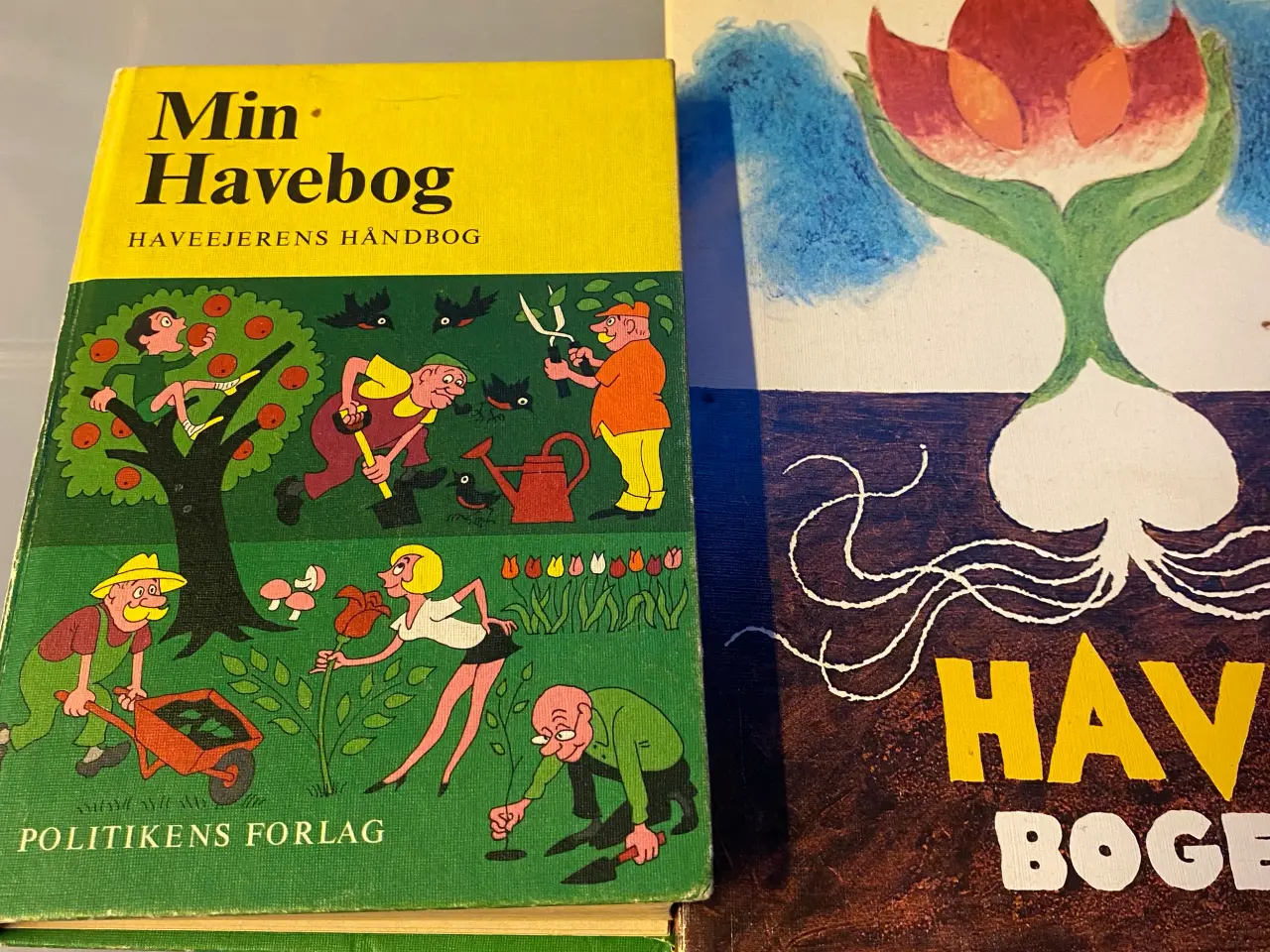 Billede 1 - Havebøger 2 stk. (kan sendes)