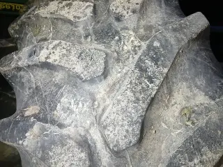 Dæk.