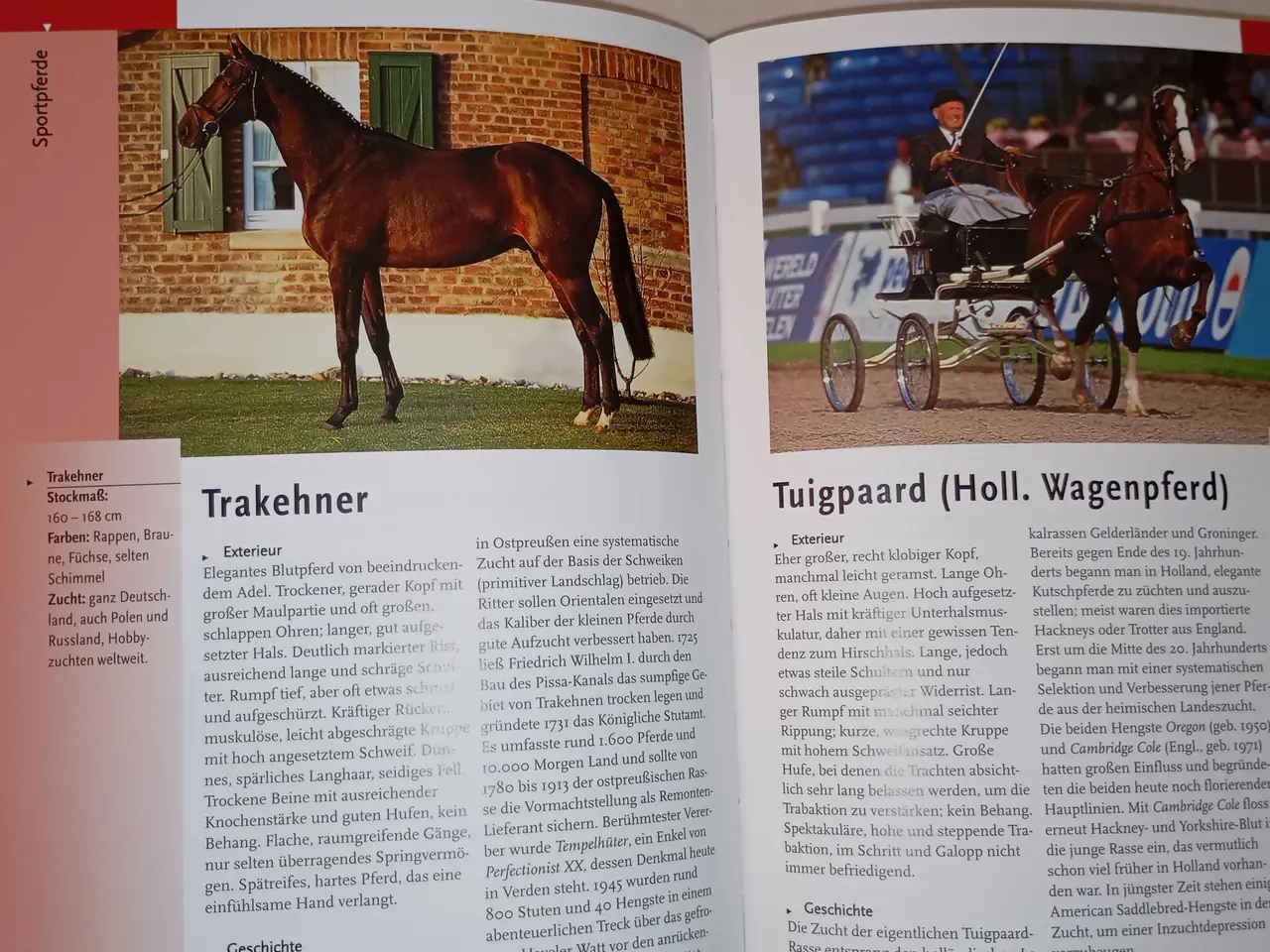 Billede 5 - Verdens pony og hesteracer. Flot bog