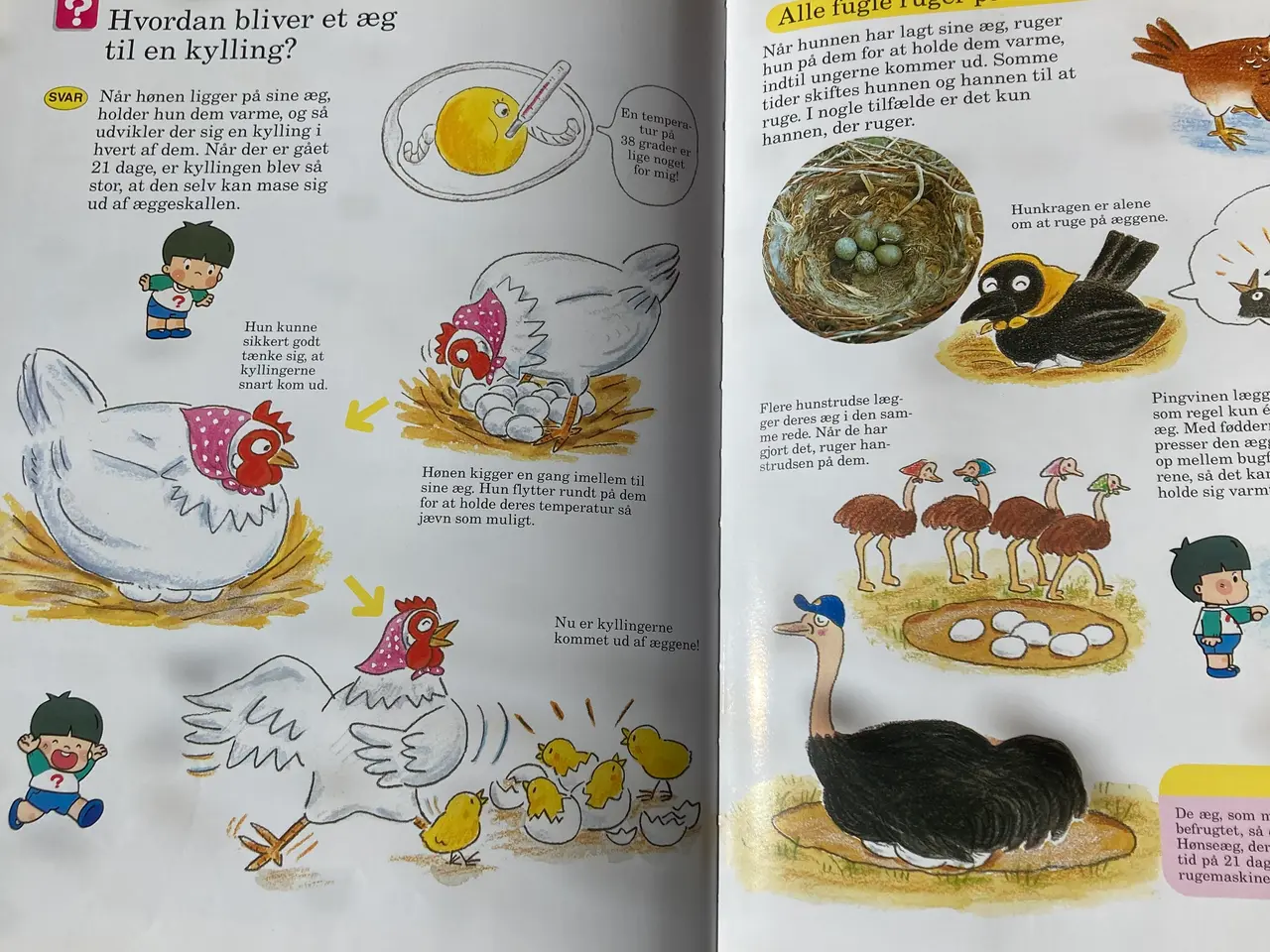 Billede 7 - Lademanns børneleksikon, 4 bind, stk. pris.