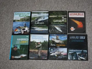 DVD Laksen i Målselvfossen