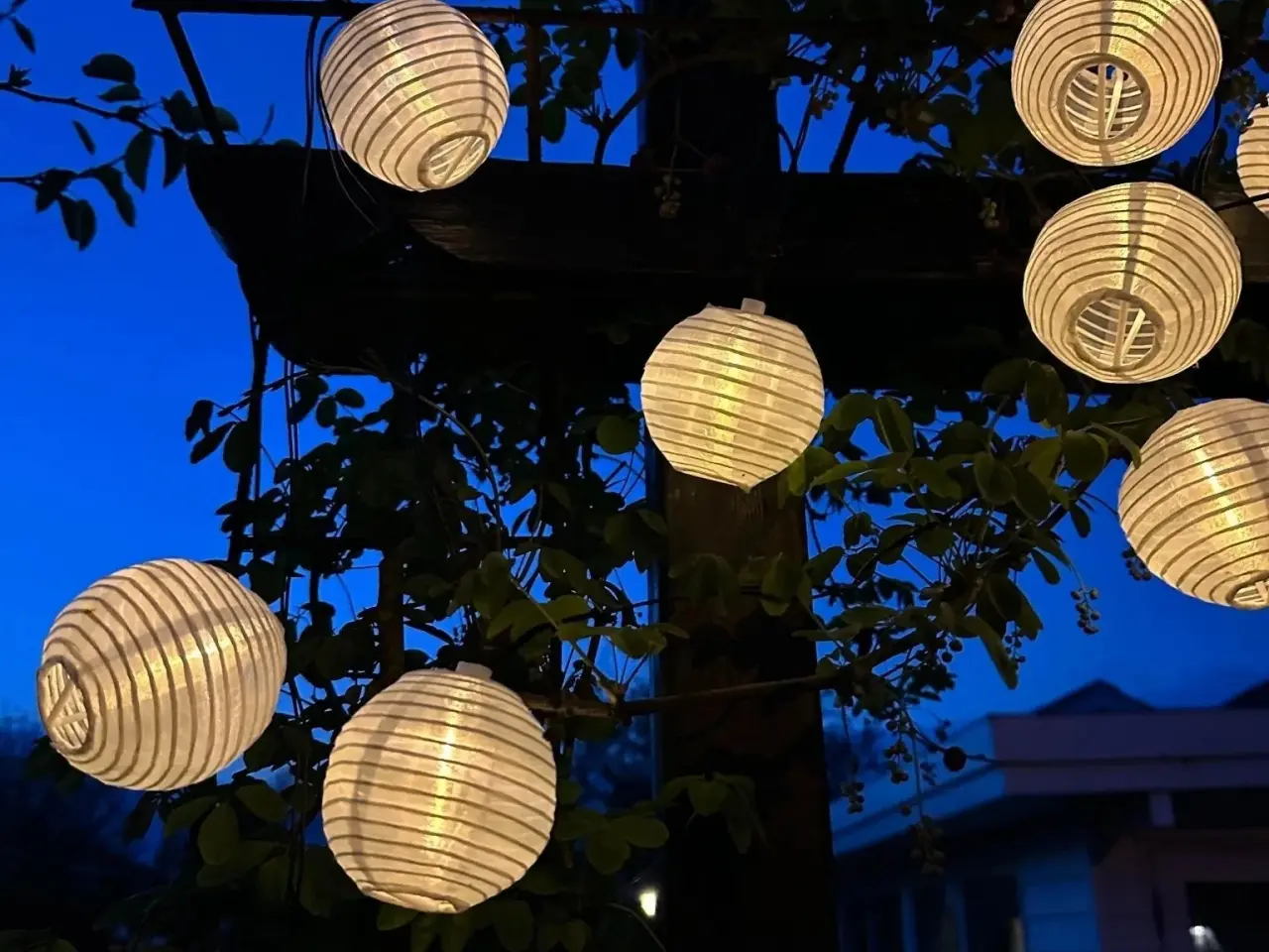 Billede 5 - Rislampe lyskæde