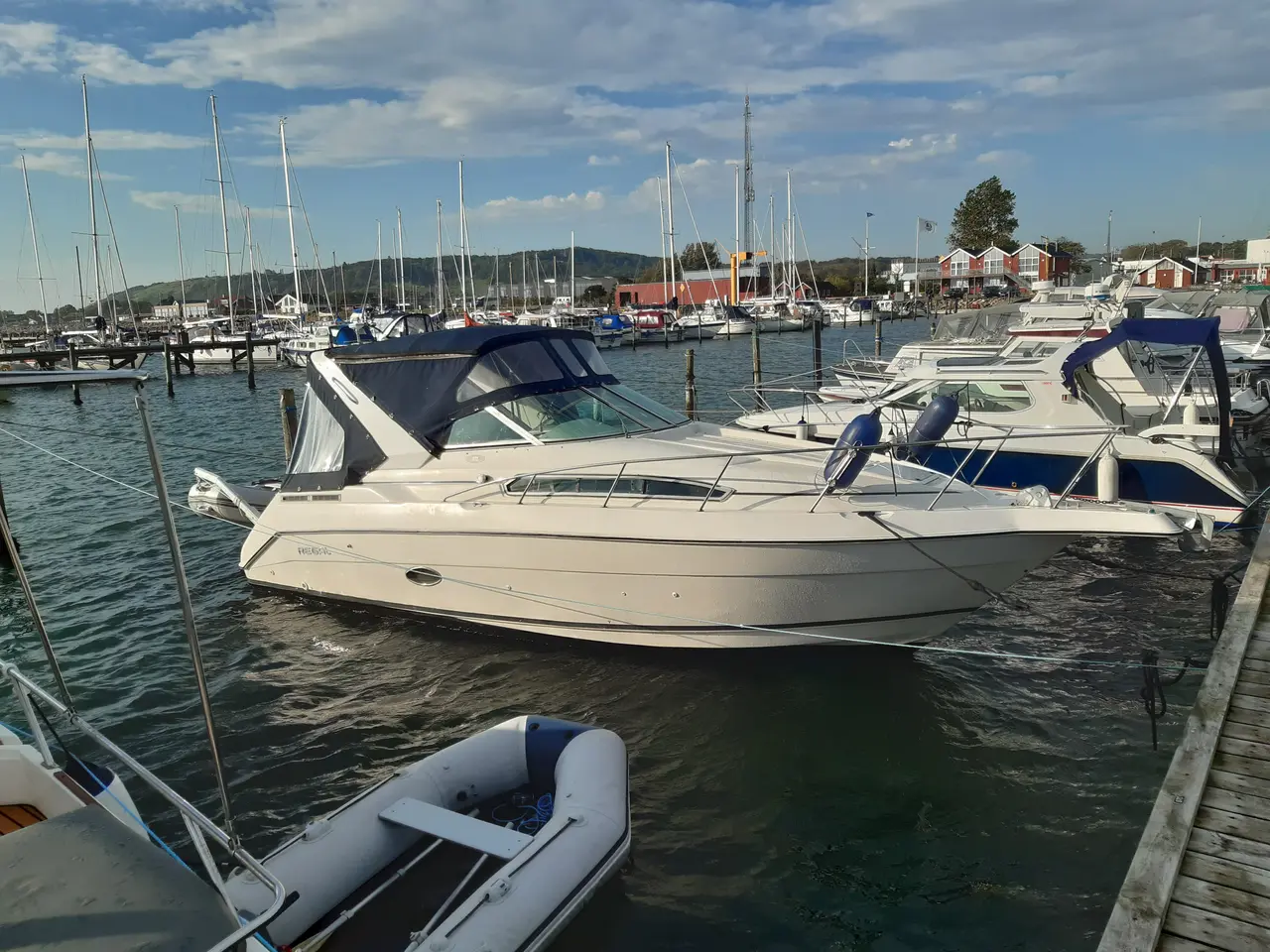 Billede 6 - Regal 272 Commodore årg. 1995