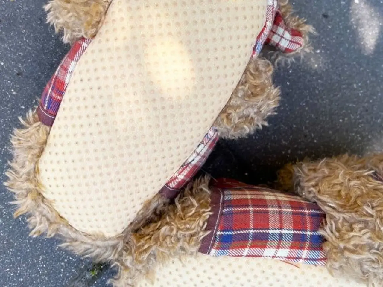 Billede 3 - Hunde-hjemmesko. Helt nye og ubrugte.