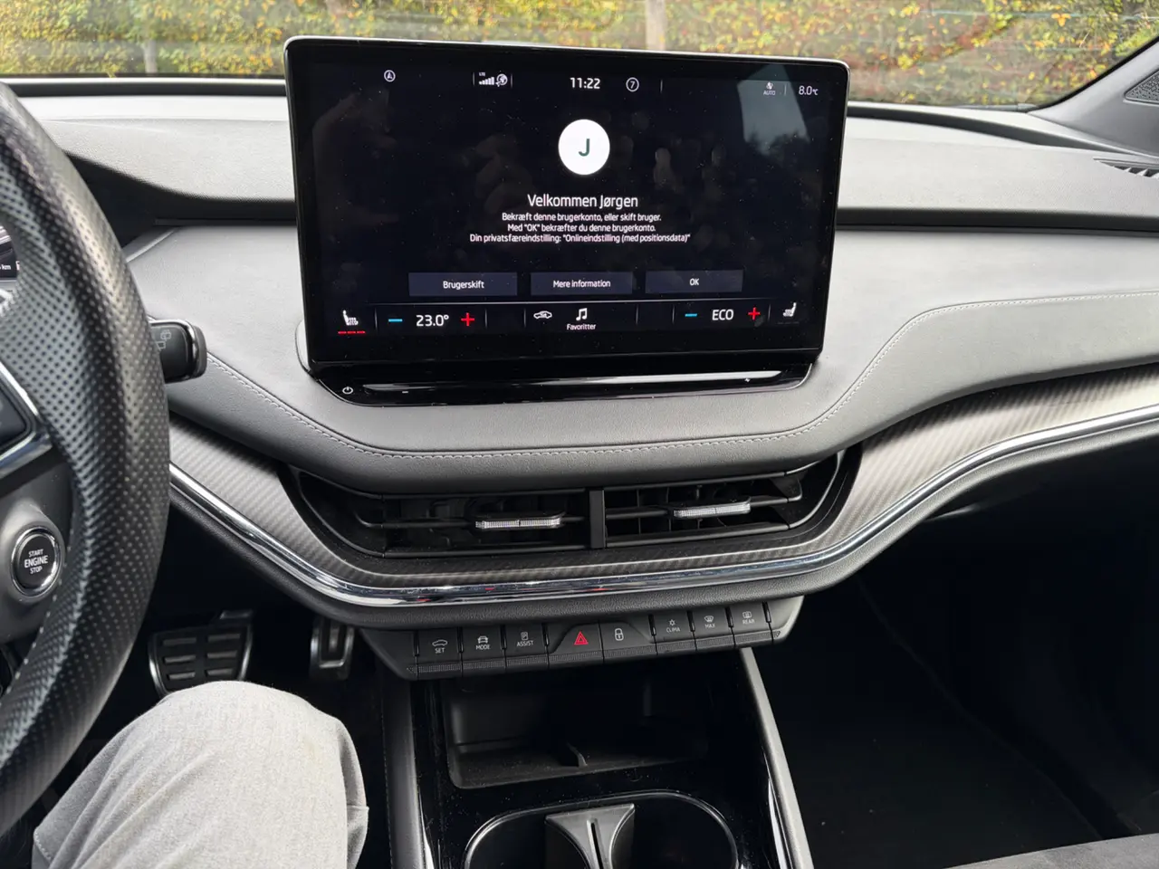 Billede 12 - Skoda Enyaq 80 iV Sportline
