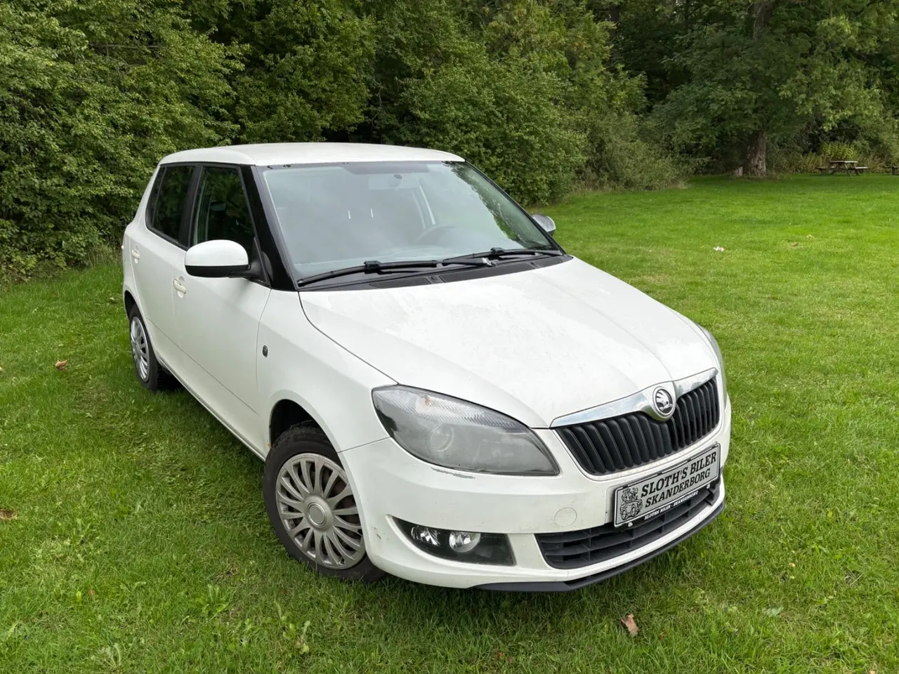 Billede 3 - Skoda Fabia 1,2 TSi 86 Tour de France