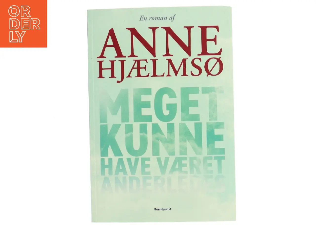 Billede 1 - Meget kunne have været anderledes af Anne Hjælmsø (Bog)