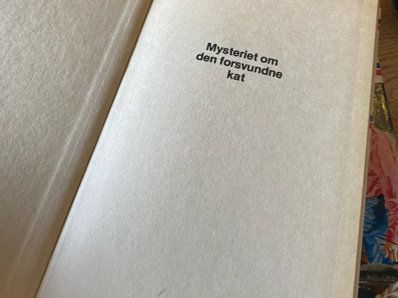 Billede 6 - Mysteriet