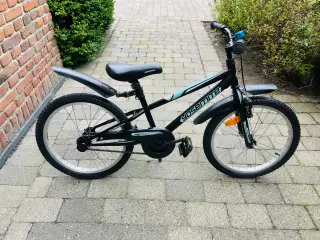 20” Yosemite drenge cykel