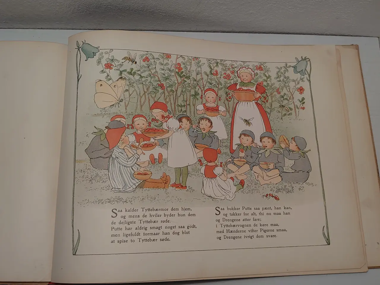Billede 6 - Beskow:Puttes Eventyr i Blaabærskoven.1.udg.1915