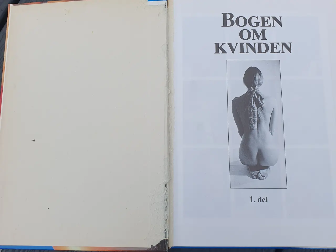 Billede 5 - Bogen om kvinden. Del 1