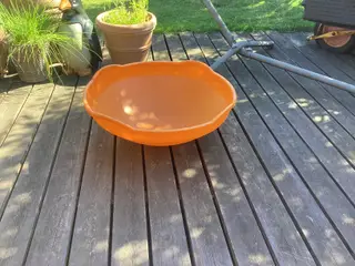 Tumletop fra Legeakademiet