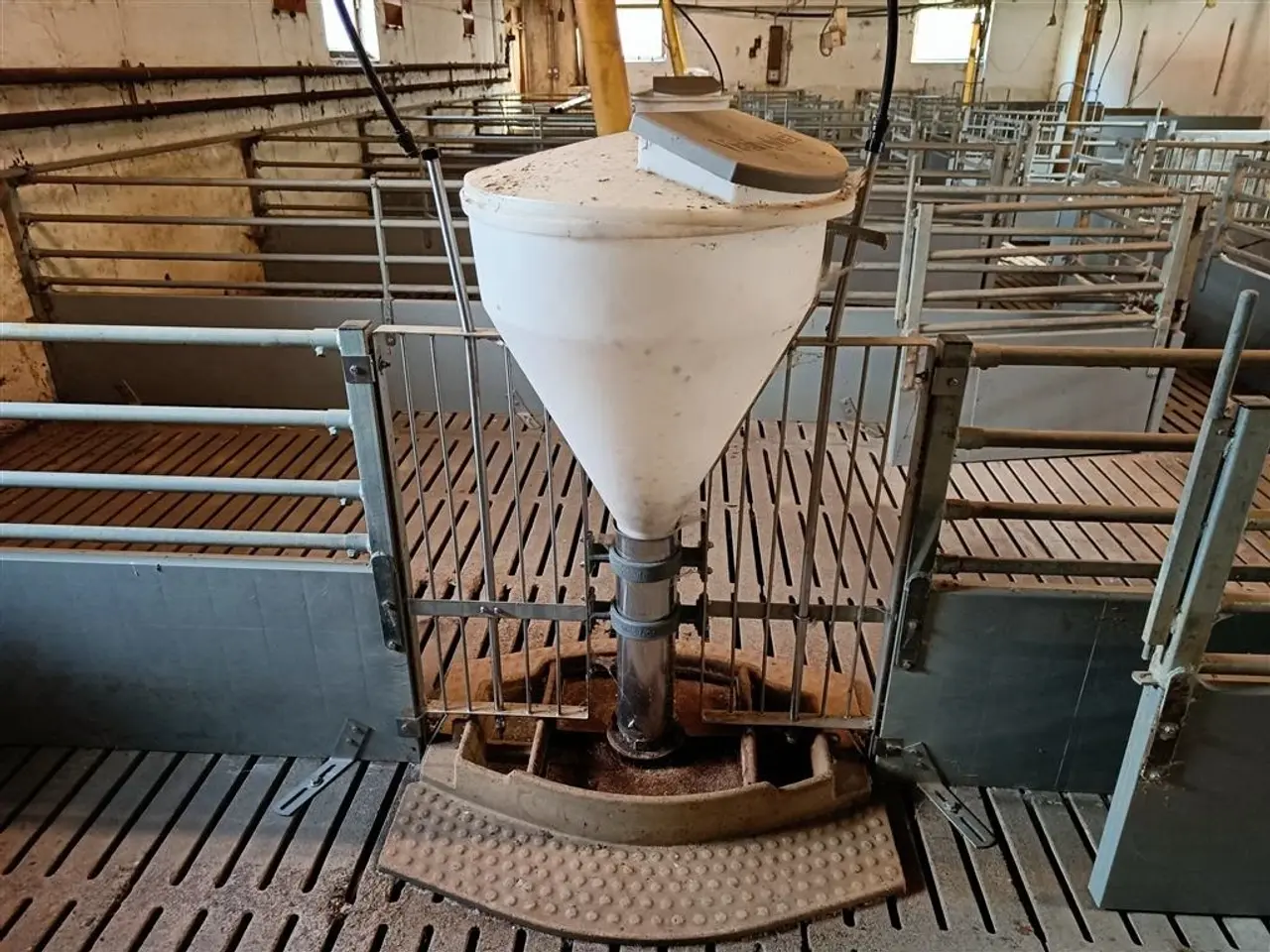 Billede 1 - Vissing Agro foderautomat