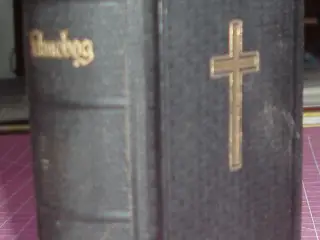 Salmebog anno 1924