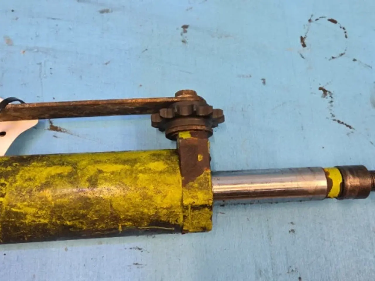 Billede 9 - Claas Jaguar 850 Cylinder 9878592
