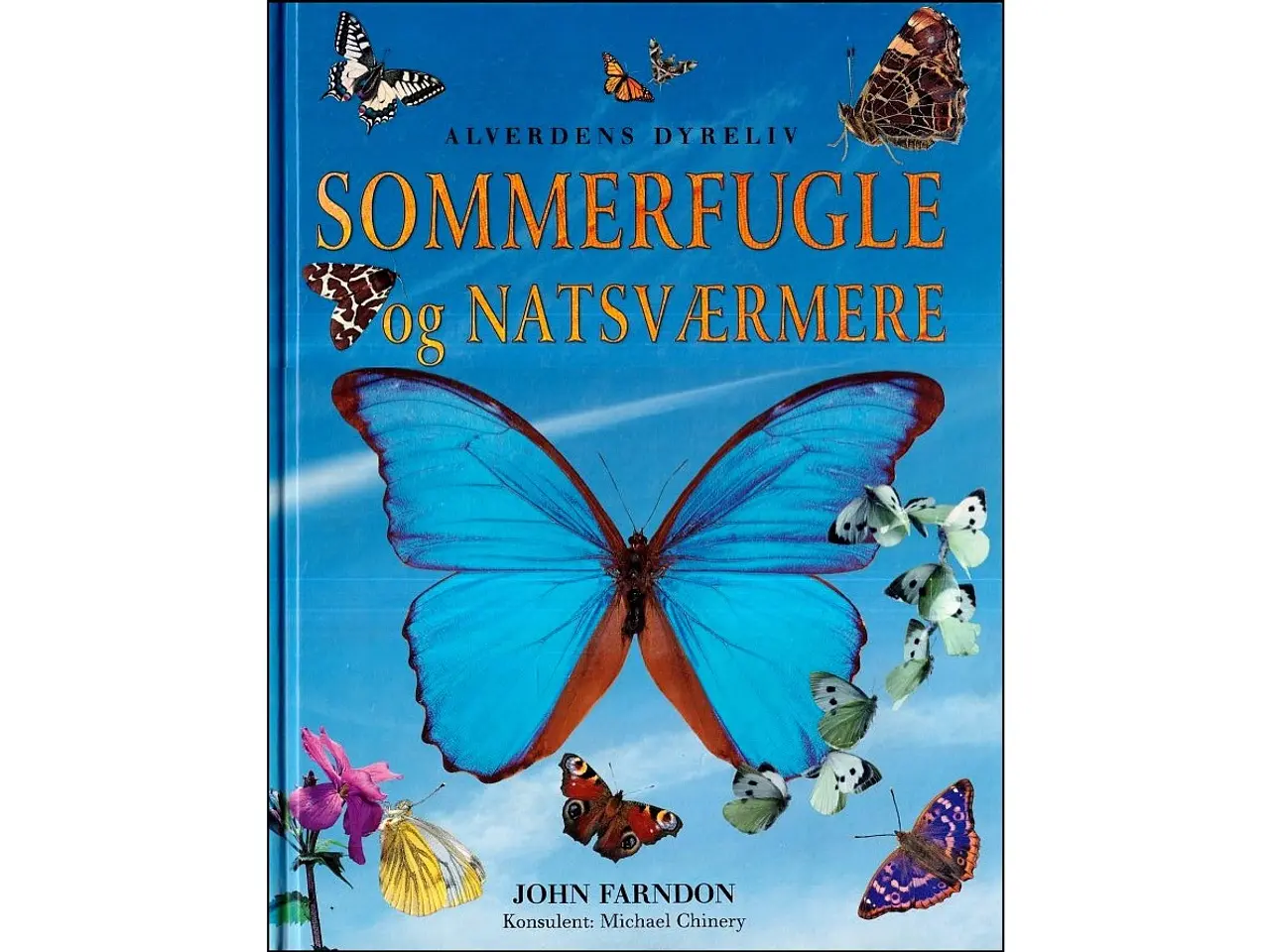 Billede 1 - Sommerfugle og Natsværmere