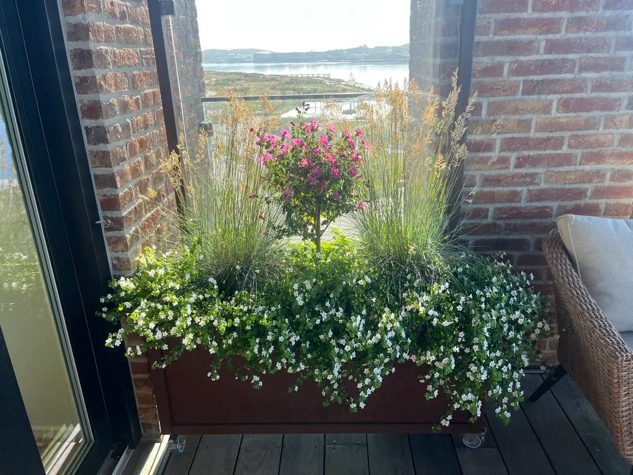 Billede 6 - Plantekasser i cortensstål med glas sælges