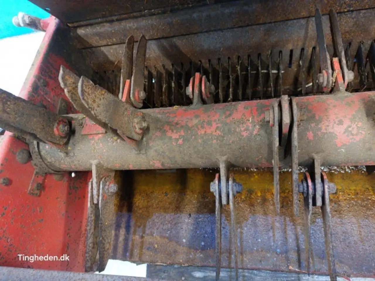 Billede 19 - Massey Ferguson 32 Snitter 49069600