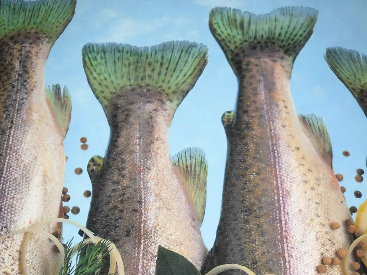 Billede 1 - Den store bog om; FISK OG SKALDYR.