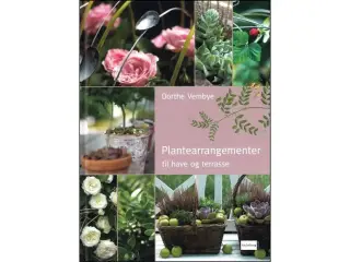 Plantearrangementer til Have og Terrasse