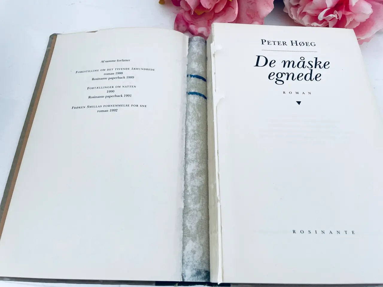 Billede 6 - De måske egnede - Peter Høeg