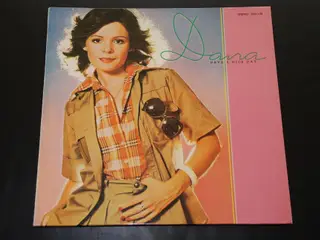 2 stk. vinylplader - Dana