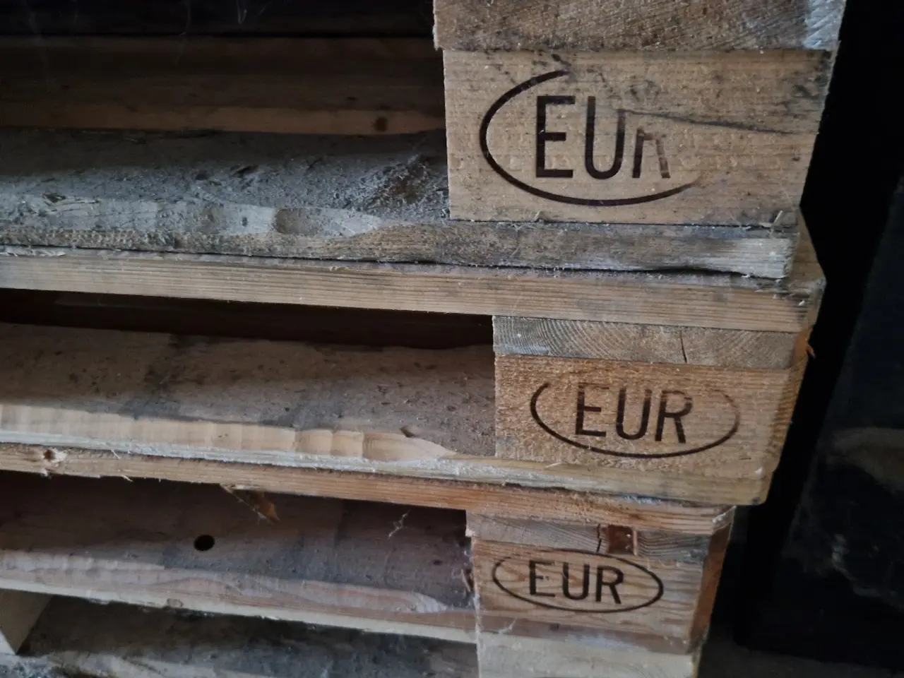 Billede 2 - Europa paller sælges