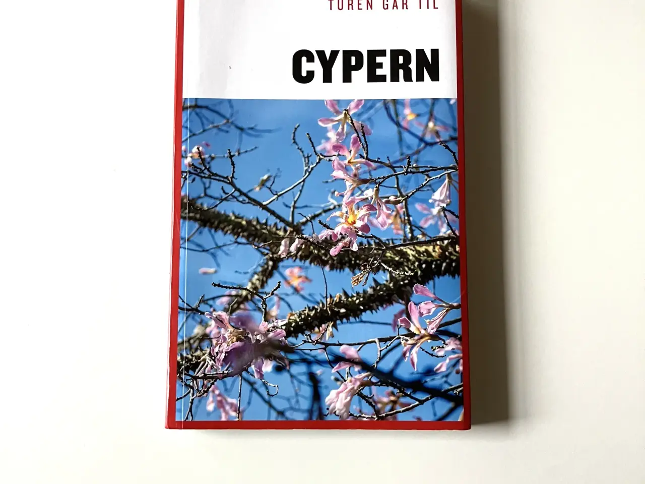 Billede 1 - Turen går til Cypern