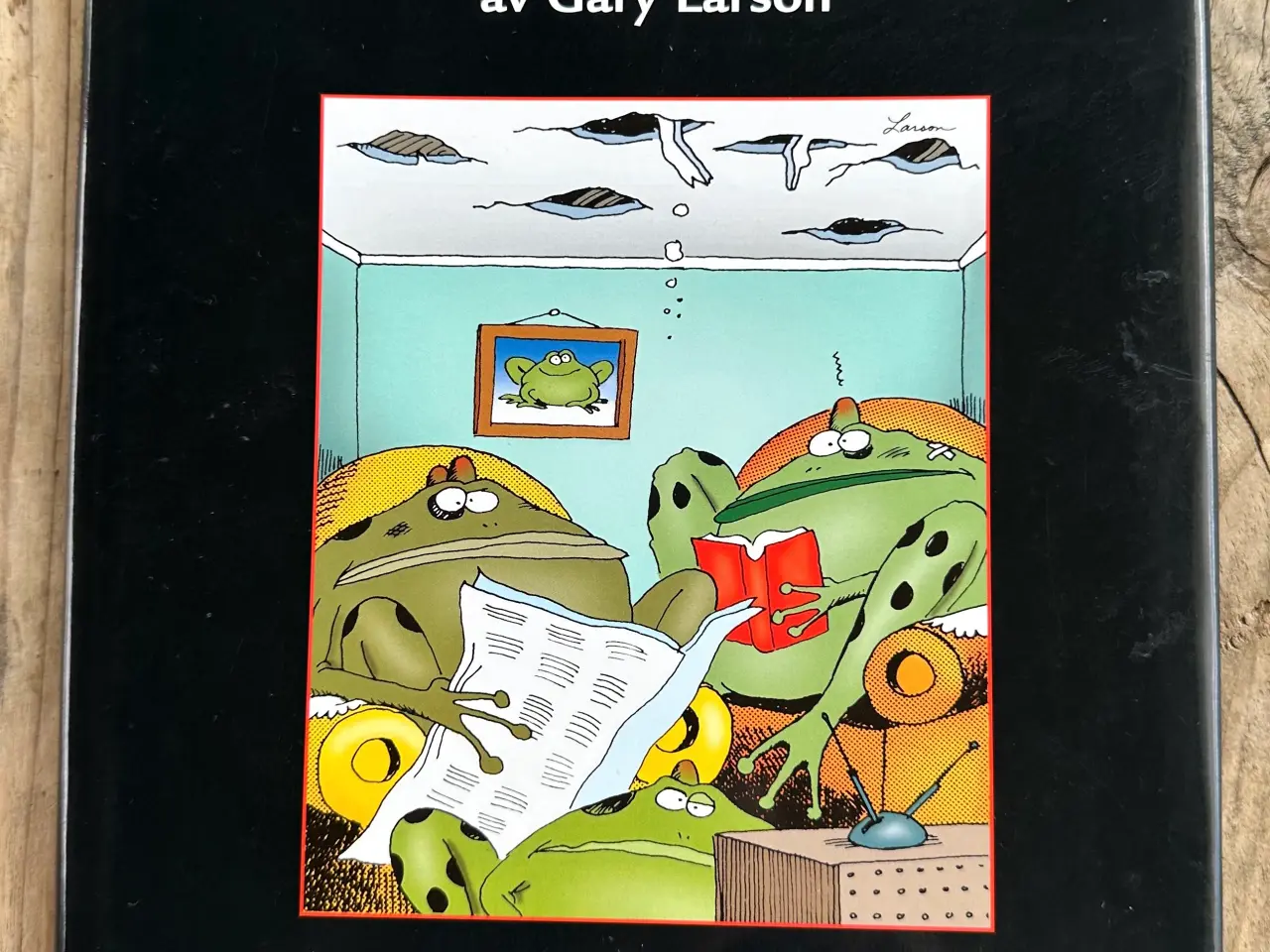 Billede 1 - På jakt efter den andra sidan – Gary Larson