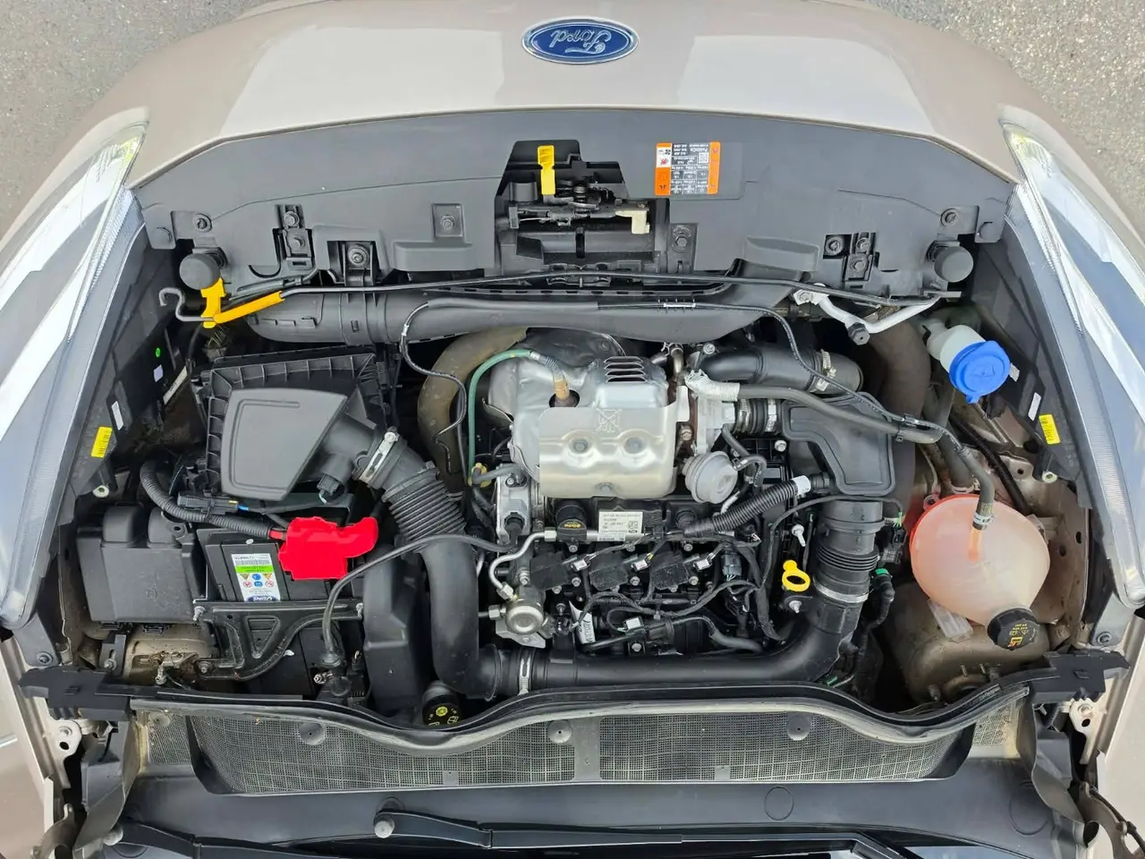 Billede 16 - Ford Fiesta 1,0 EcoBoost Vignale