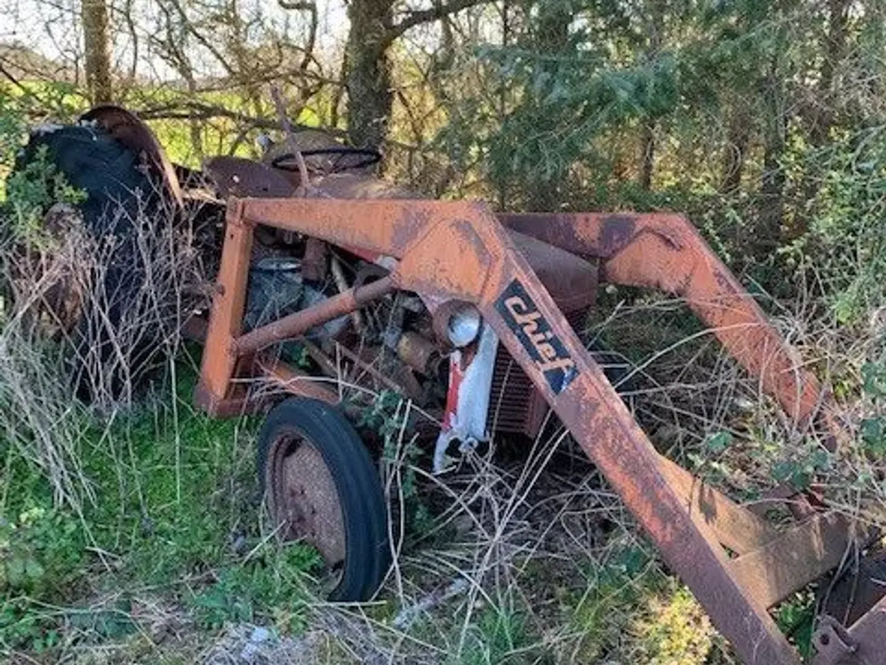 Billede 1 - Traktor, Ferguson 26