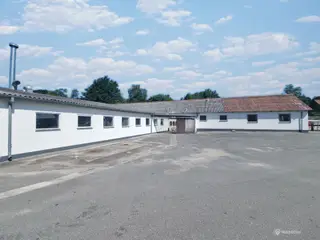 800 kvm koldlager udlejes