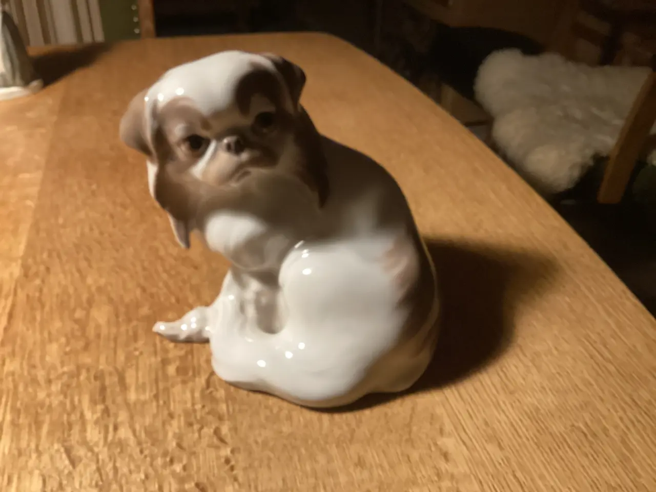 Billede 1 - BG stor Pekingeser hvalp 850,00
