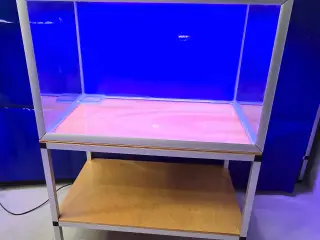 Akvarie 200 liter med bord.