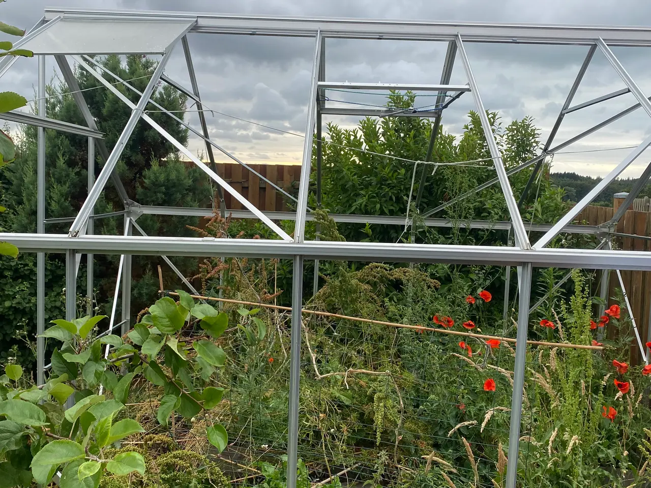 Billede 5 - Drivhus uden glas