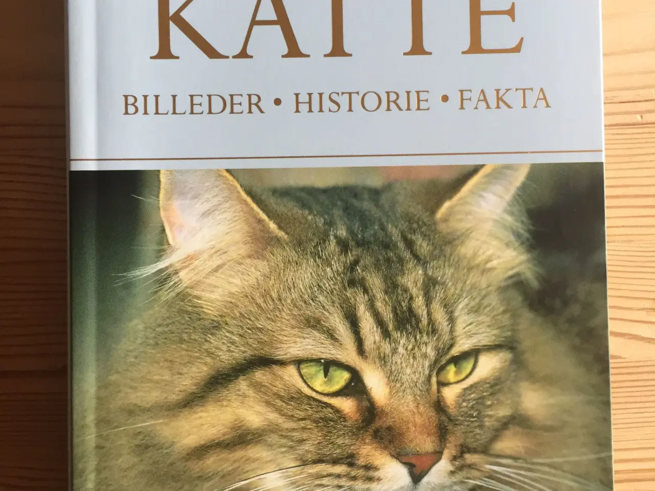 Billede 3 - Bogen KATTE