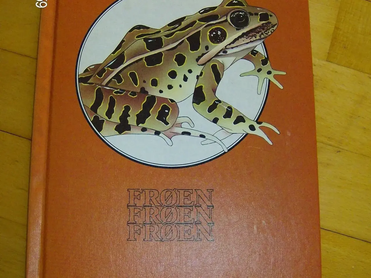 Billede 1 - Frøen