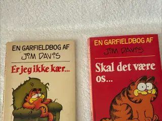 Garfieldbog 2 stk.