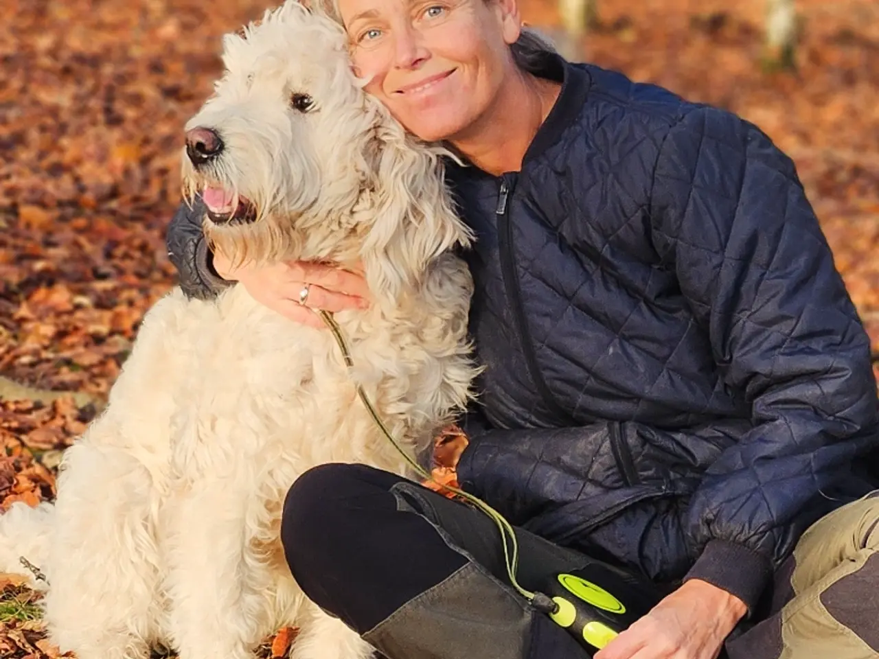 Billede 17 - Goldendoodle hvalpe